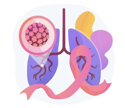 image-08-08-24-03-40.jpeg image-08-08-24-03-40.jpeg