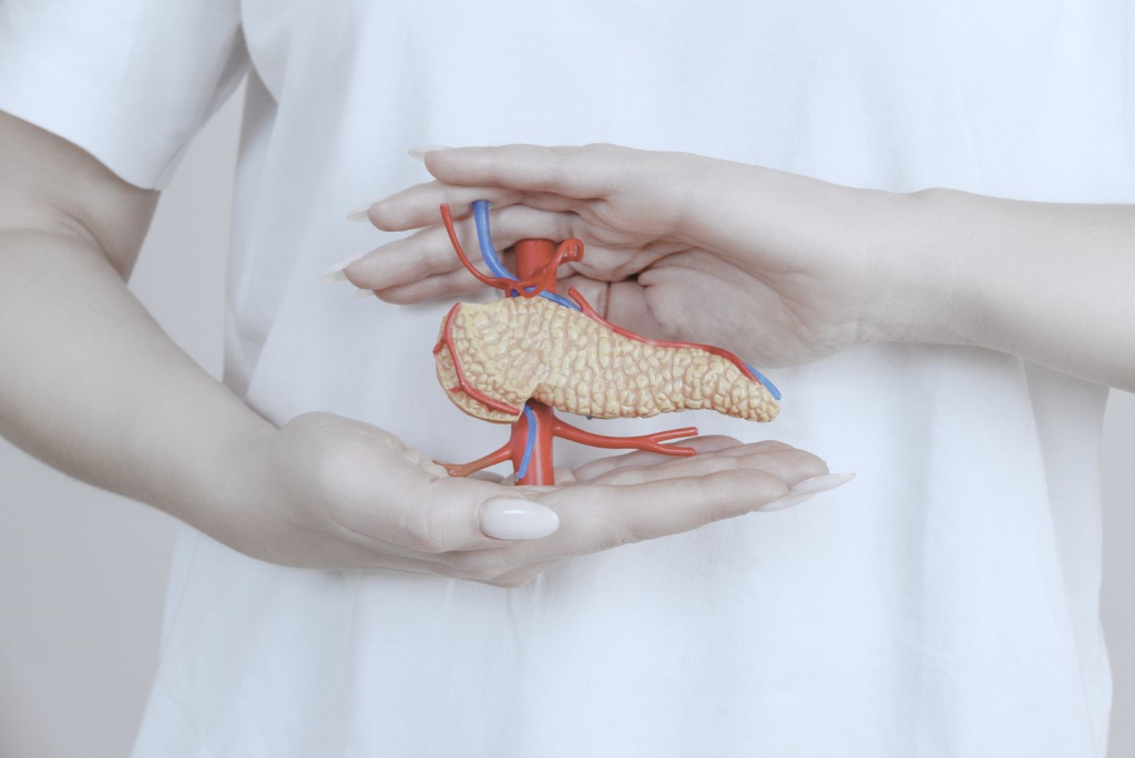 Картинка поджелудочная железа.png Картинка поджелудочная железа.png